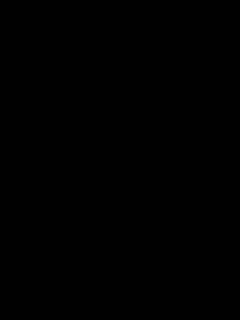 國產(chǎn)
