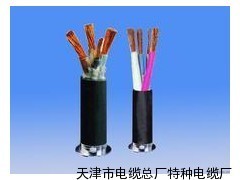 ptyy鐵路信號電纜(天纜總廠報價)_供應產(chǎn)品_天津市電纜總廠特種電纜廠