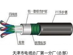 鐵路信號(hào)電纜國(guó)家相關(guān)規(guī)定_供應(yīng)產(chǎn)品_天津市電纜總廠第一分廠(總部)