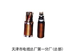 PTY23天津鐵路信號(hào)電纜_供應(yīng)產(chǎn)品_天津市電纜總廠第一分廠(總部)