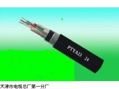 阻燃鐵路信號電纜ZR-PTY23-電線電纜_供應(yīng)產(chǎn)品_天津市電纜總廠第一分廠