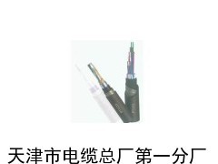 鐵路信號(hào)電纜PTYA22_供應(yīng)產(chǎn)品_天津市電纜總廠第一分廠